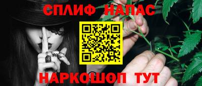 стаф Донской