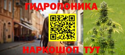 стаф Донской