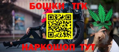 стаф Донской
