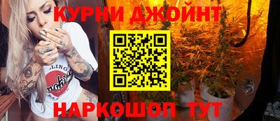 стаф Донской