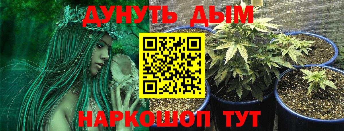 Марихуана AK-47  Марихуана SATIVA & INDICA  Вход с VPN  Нижнекамск  МАРИХУАНА тримм 
